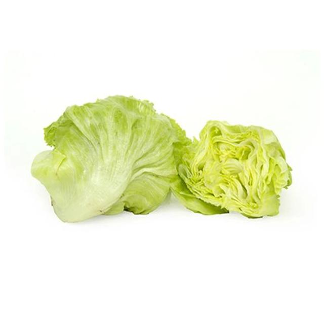Lettuce Iceberg