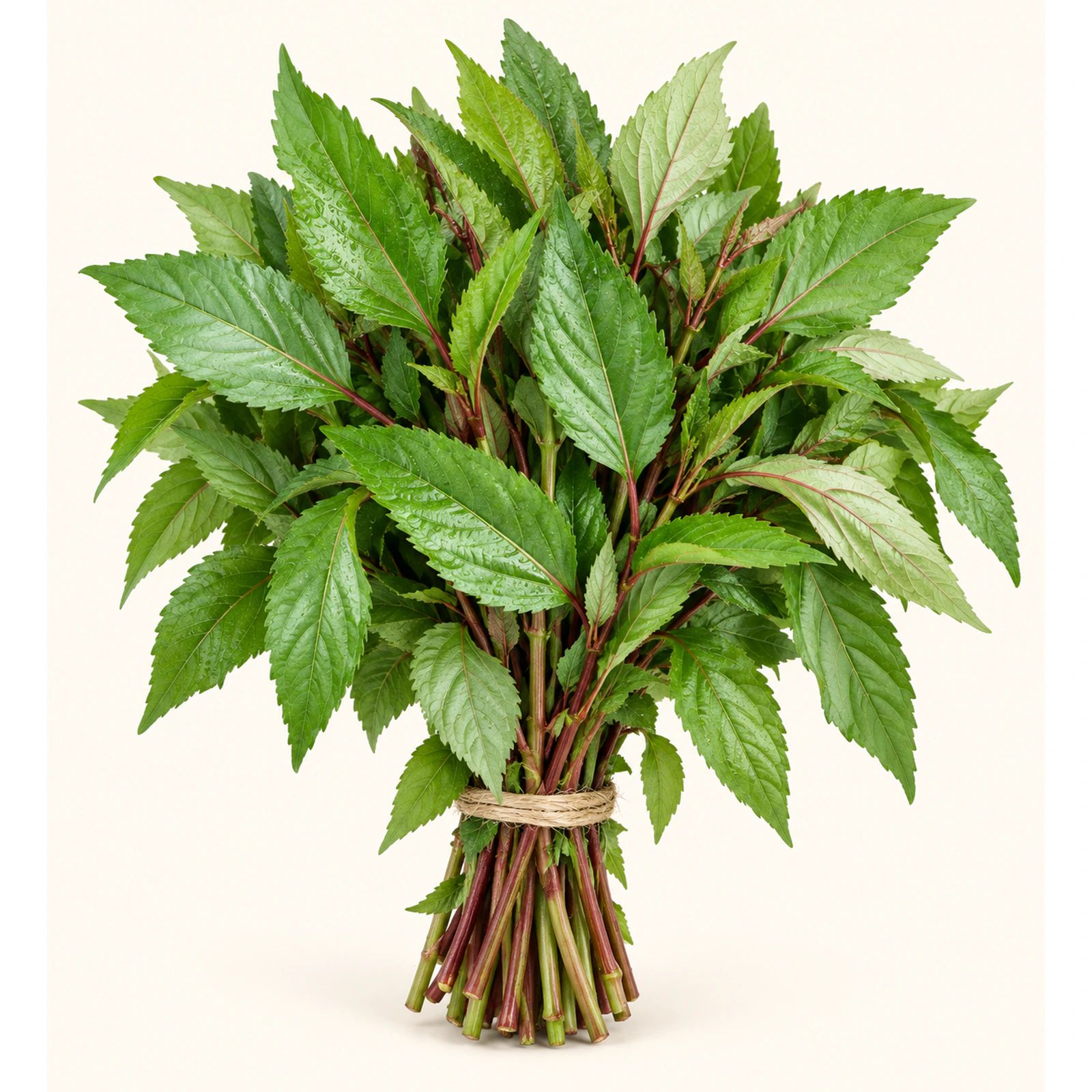 Chench Bhaji (Jute Leaves)